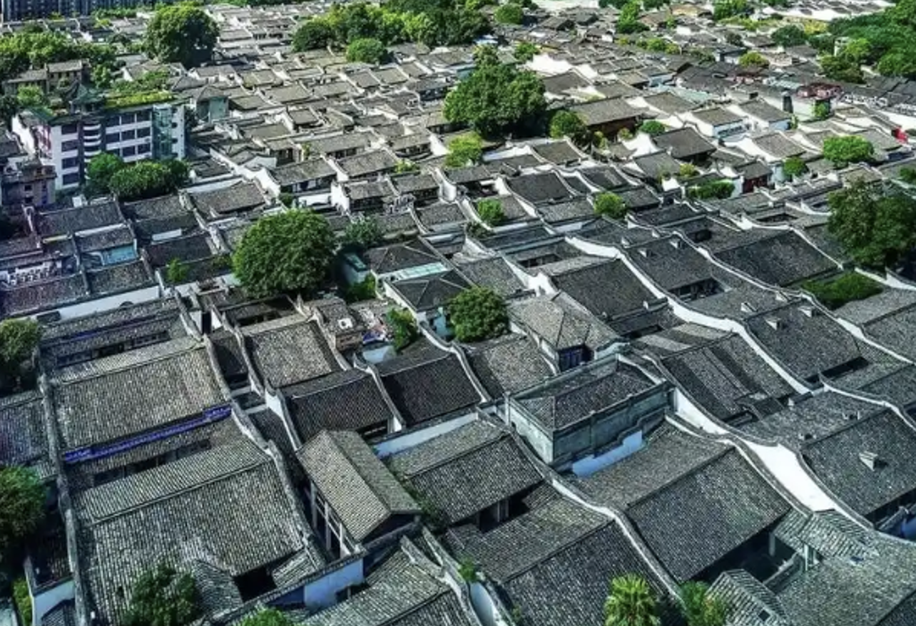 2024年11月24日|循游福州:三喵先生-为啥严复《天演论》对中国的影响持续至今?