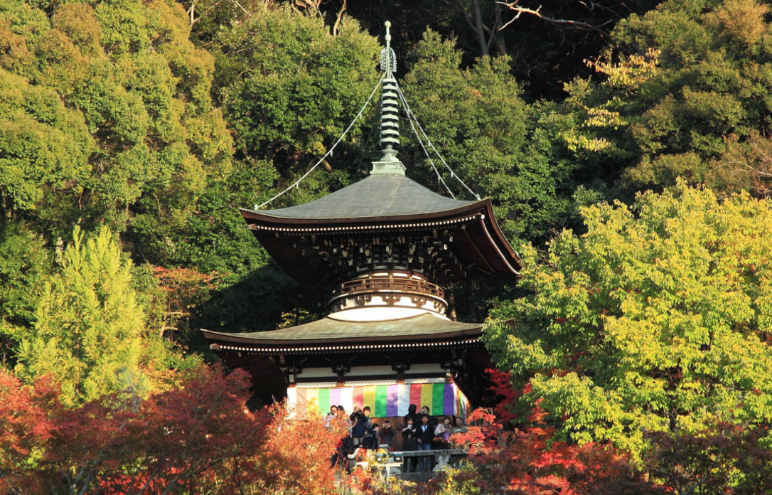 [Important Event] October 16-21: Peking University History Department Professor Xin Deyong takes you on a tour of Japan