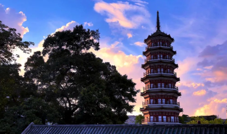 2025年12月19日-24日｜循游广州，袁腾飞老师带你“粤古阅今”，深度体会千年岭南文化